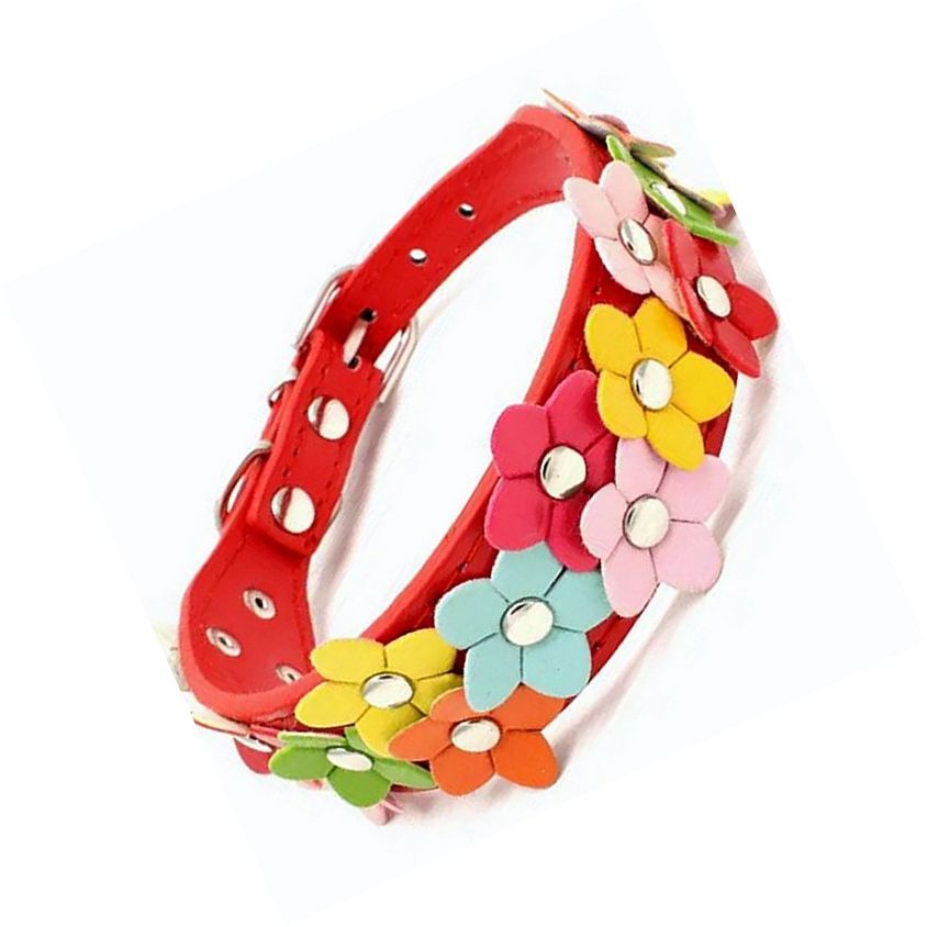 Della Terese Colorful Flowers on Rosy Red Dog Collar Size Small Gift Packaged