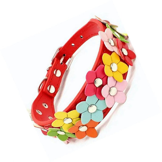 Della Terese Colorful Flowers on Rosy Red Dog Collar Size Small Gift Packaged