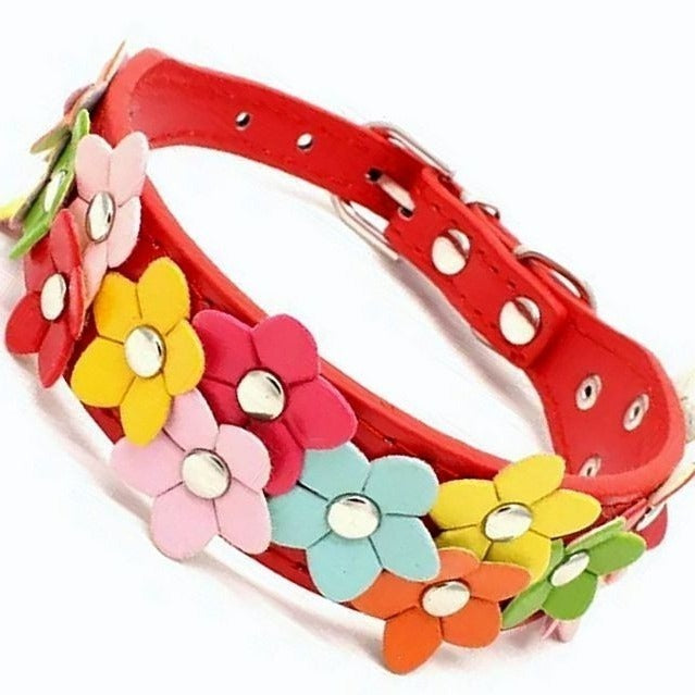 Della Terese Colorful Flowers on Rosy Red Dog Collar Size Small Gift Packaged