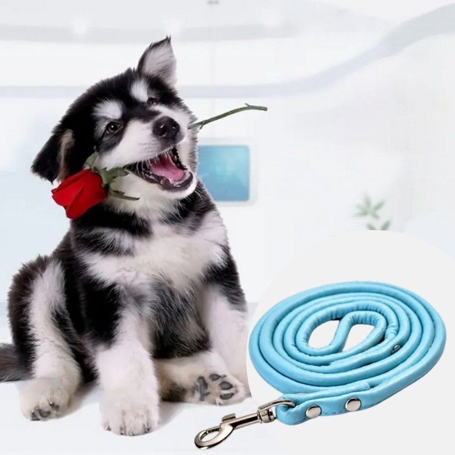 Xander Rey Classic Style Faux Leather Rotating Clip Dog Leash Sky Blue