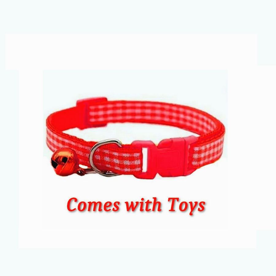 Jamie Jase Red Gingham Plaid Bell Accented Cat Collar with Toys Gift Package