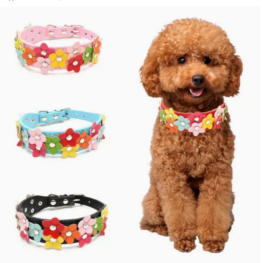 Della Terese Colorful Flowers on Rosy Red Dog Collar Extra Small Gift Packaged