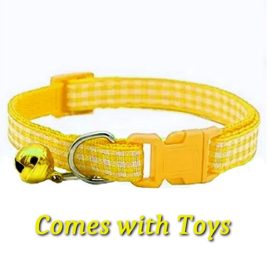 Jamie Jase Yellow Gingham Plaid Bell Accented Cat Collar with Toys Gift Package