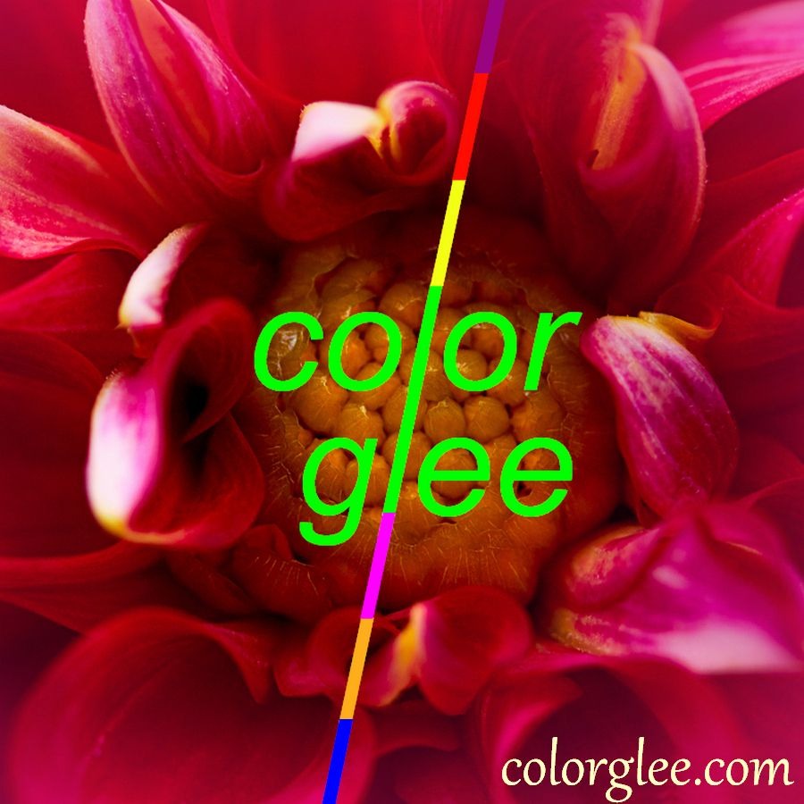 Ellie Anna 12 Piece Makeup Brush Set Smooth Scene Purple Gift Packaged