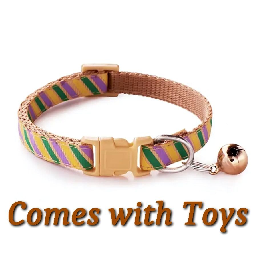 Marlee Candy Stripe Khaki Green Purple Bell Cat Collar with Toys Gift Packaged