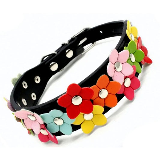 Della Terese Colorful Flowers on Black Dog Collar Extra Small Gift Packaged