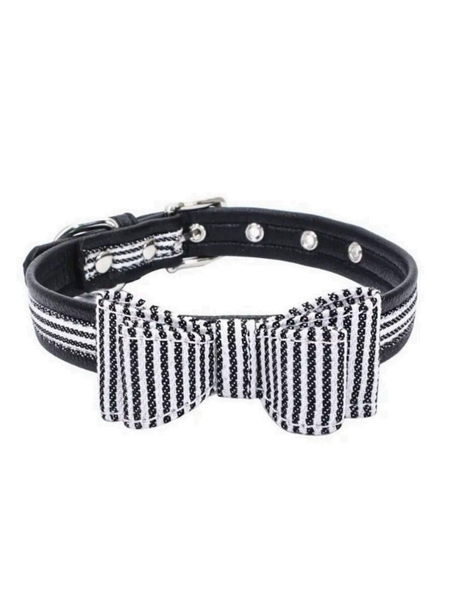 Zachary Saylor Preppy Black Oxford Stripe Bow Tie Dog Collar Medium Gift Package