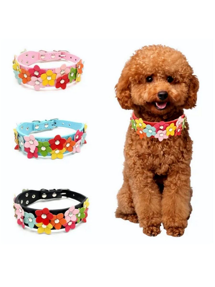 Della Terese Colorful Flowers on Rosy Red Dog Collar Extra Small Gift Packaged