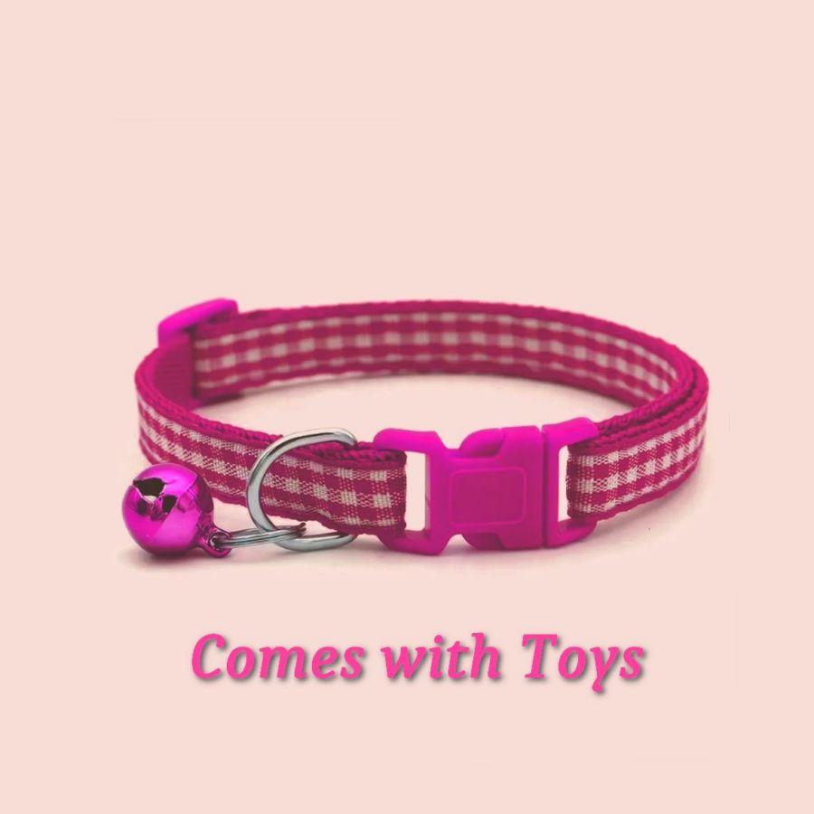 Jamie Jase Fuschia Gingham Plaid Bell Accented Cat Collar with Toys Gift Package