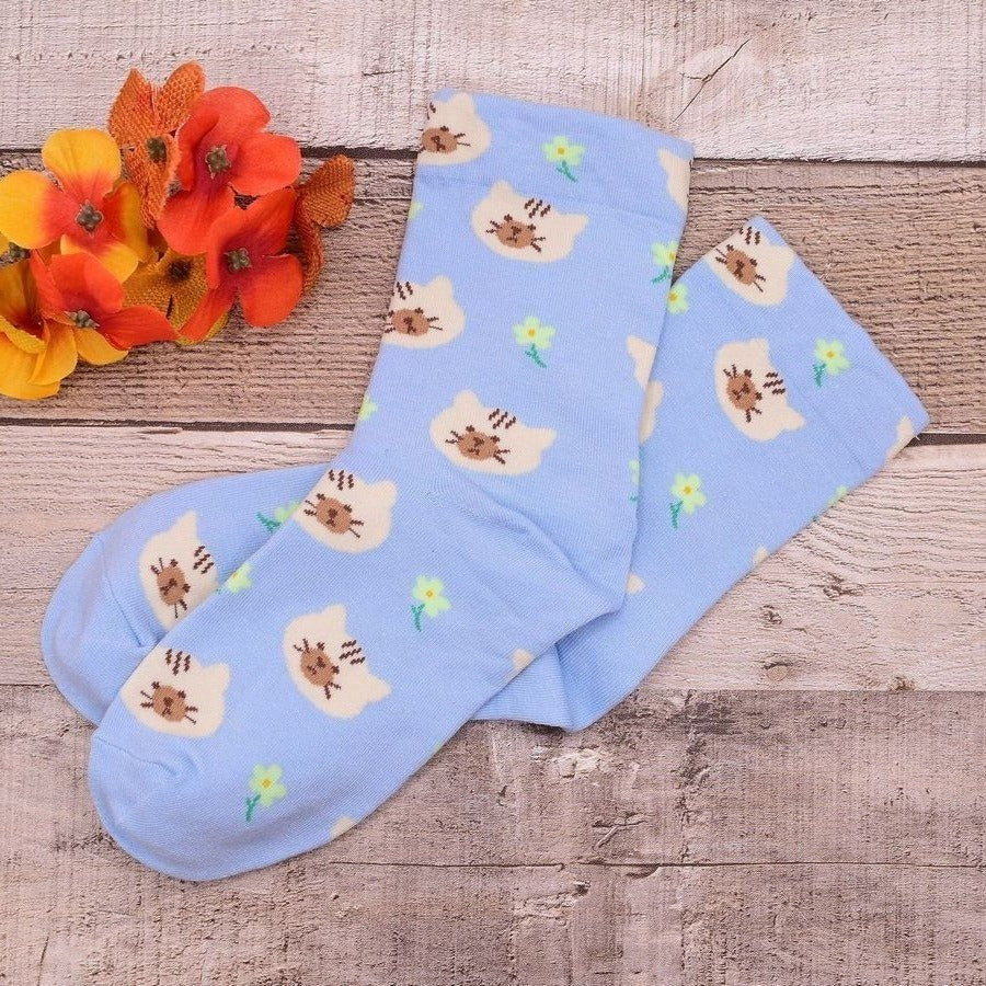 Andi Larose Womens Kitty Cat Pattern Socks Beige on Blue