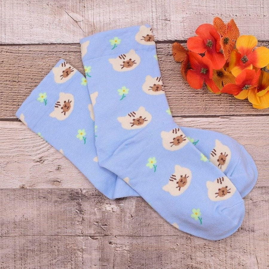 Andi Larose Womens Kitty Cat Pattern Socks Beige on Blue