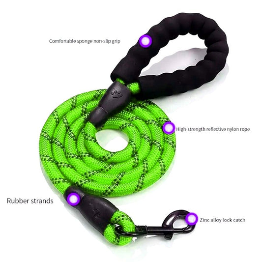 Tadeo Dash Green Reflective Rope Leash with Padded Loop Handle and Rotating Clip