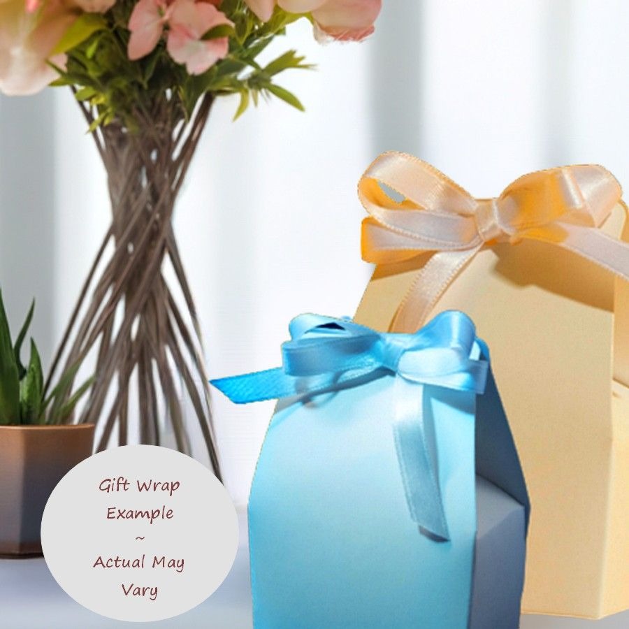 Mia Sincerity Pink Tourmaline 925 Sterling Silver Earrings Gift Boxed