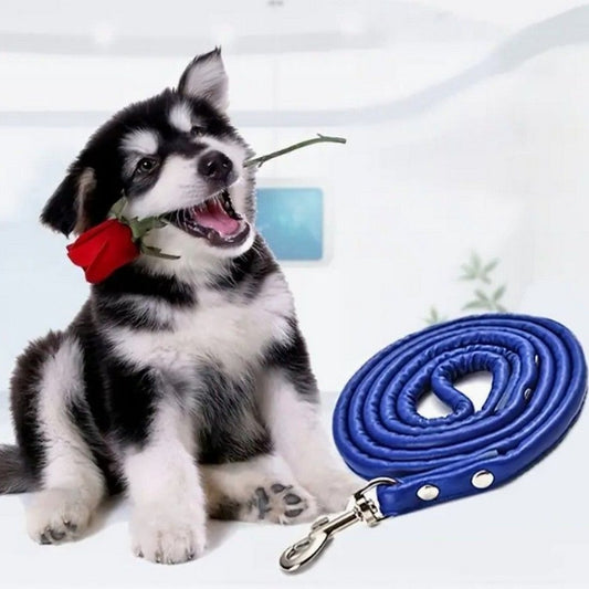 Xander Rey Classic Style Faux Leather Rotating Clip Dog Leash Retro Blue