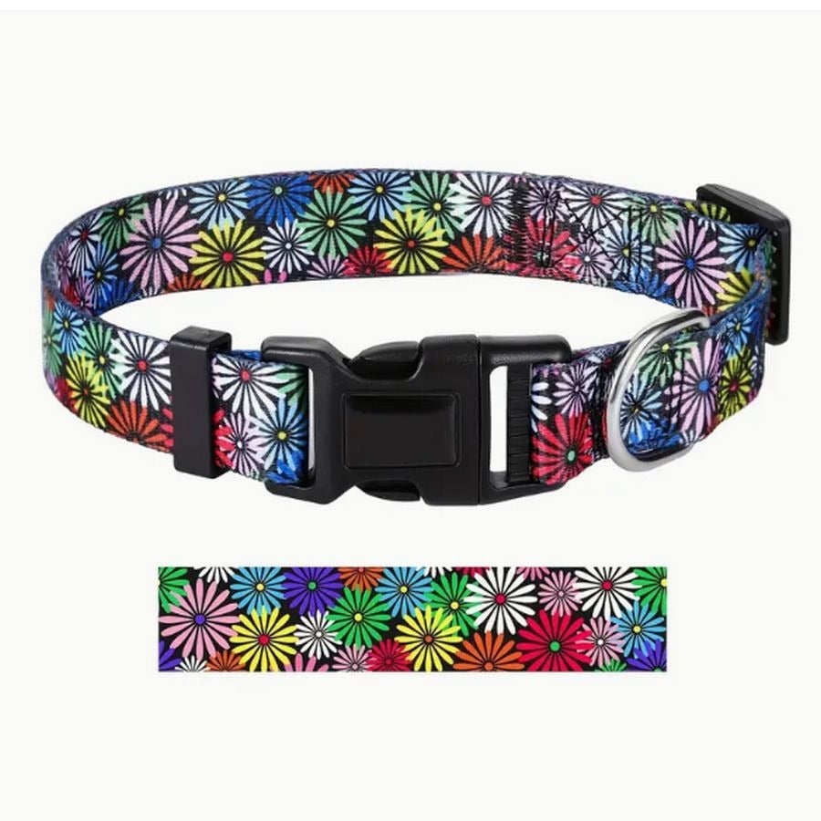 Maisette Multicolor Flowers Breakaway D Ring Dog Collar Size Large Gift Packaged