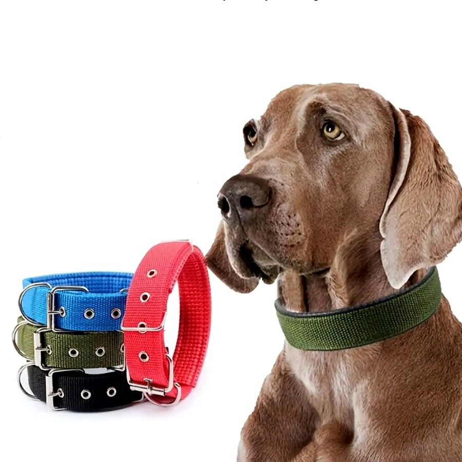 Nikalos Large Blue Standard Nylon Comfort Strip D Ring Metal Buckle Dog Collar